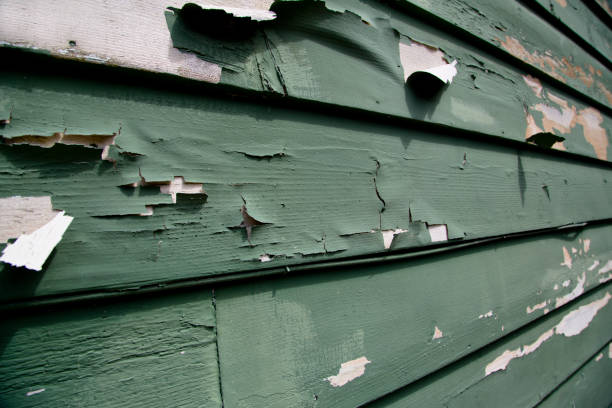 Best Shed Removal  in Interlaken, CA