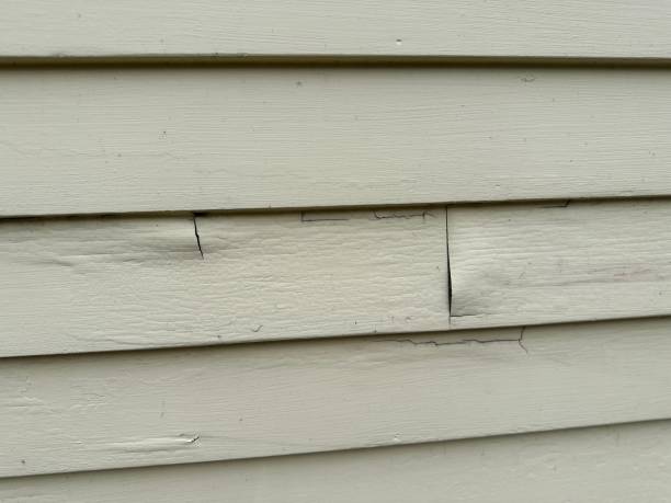 Best Construction Debris Removal  in Interlaken, CA